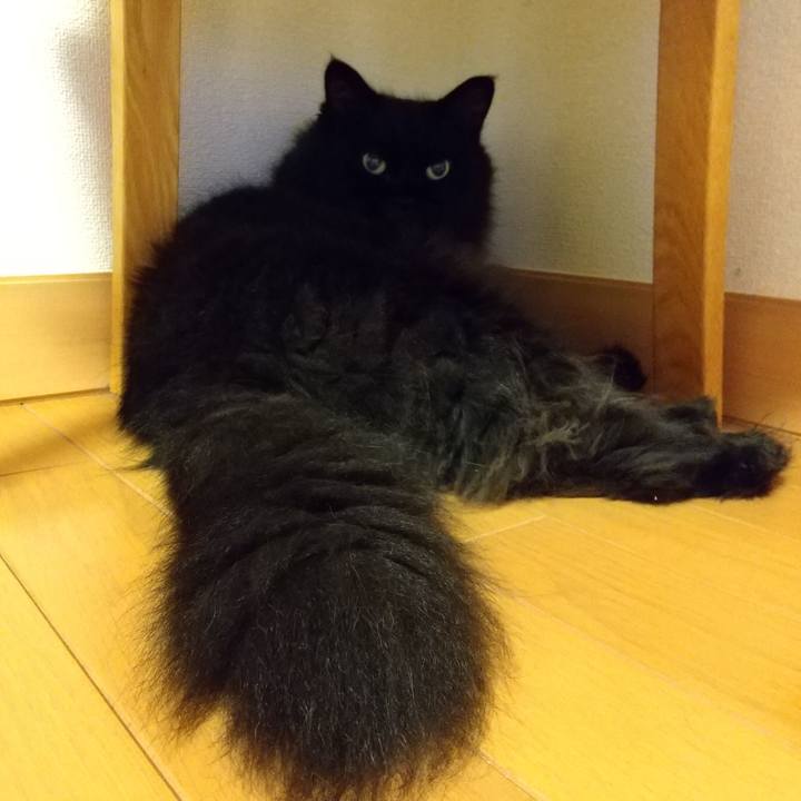 215673f1 96d6 45e5 bcf9 8b53c9b3ffb3 1628510277281