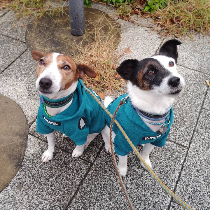 2156d2a6 0207 448b 9855 6bc687ecbdc6 1732139768201