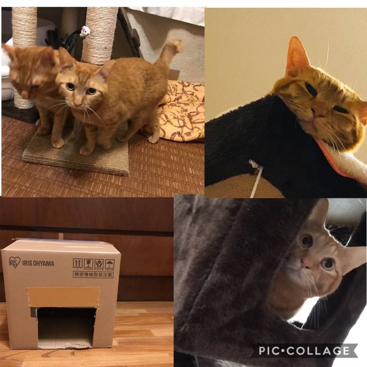 21574da1 1451 4889 93a2 2c98047f5282 1592177399954