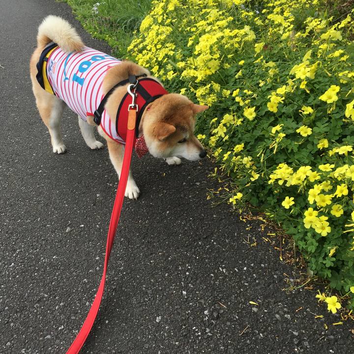 21578460 4702 4bab ad06 974d621ddf51 1585286772671