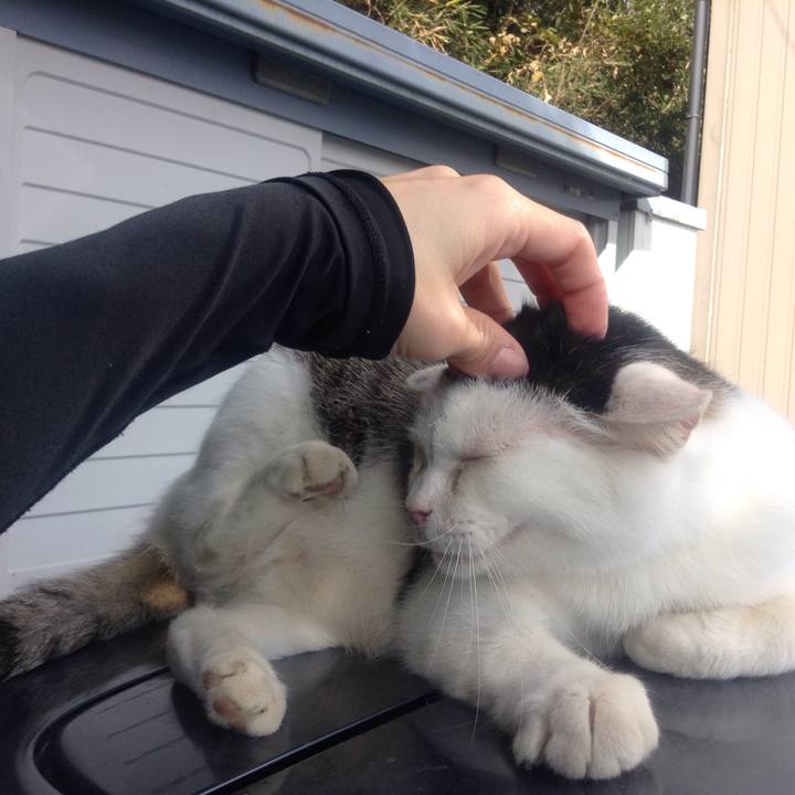 2157aed6 fd4b 4a52 b782 2be2469e27de 1541428942467