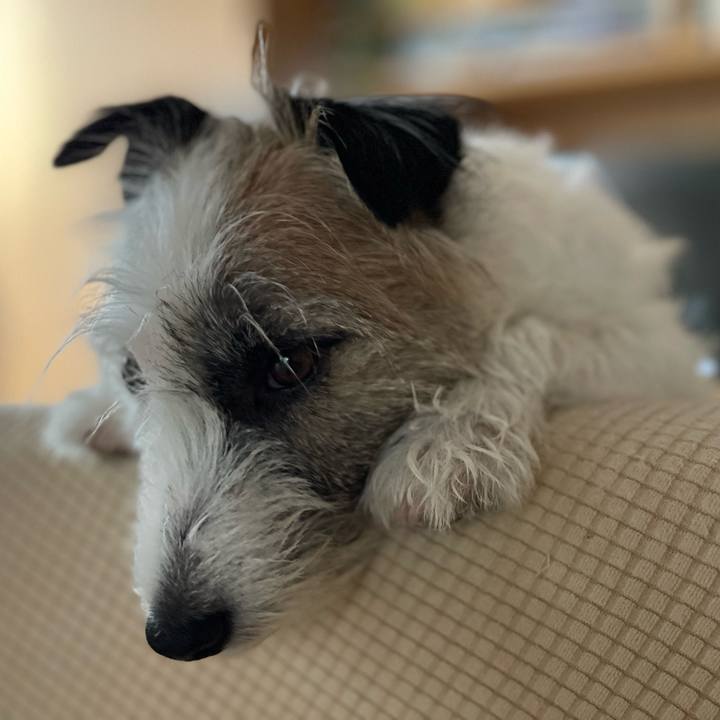 2157d2e7 9081 4148 95f2 a85982e9ecff 1658707070677