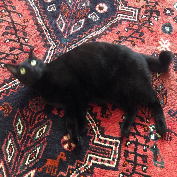 2157f54e f554 4844 81f4 1576e63deedb 1560652447837