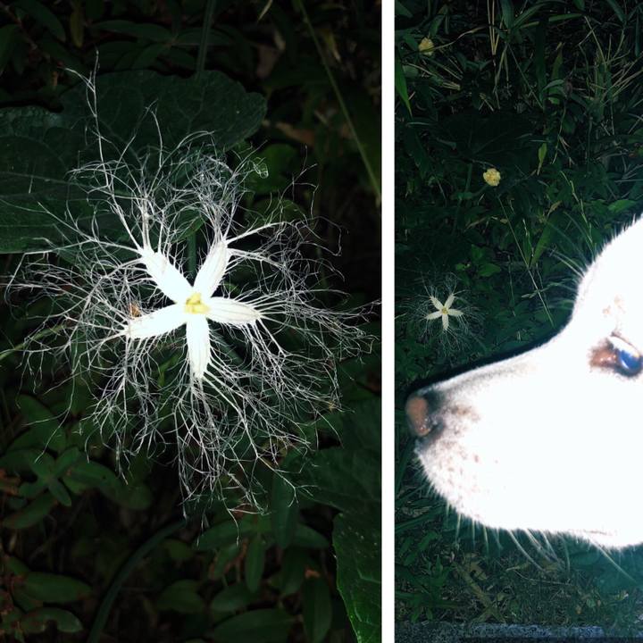 21587b90 8d31 40bb 918a b112b15ede75 1562075834095