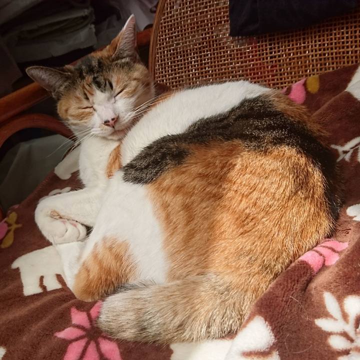 21588397 f948 4e99 9eb9 9fb394d86656 1556418132758