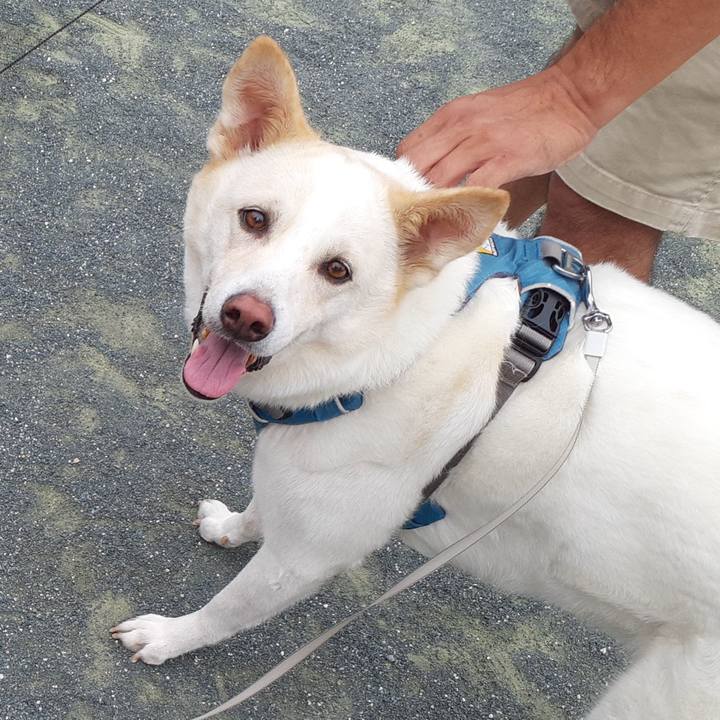 215894f1 e70c 4c9d 82ea f4ce773bd8eb 1659743830631