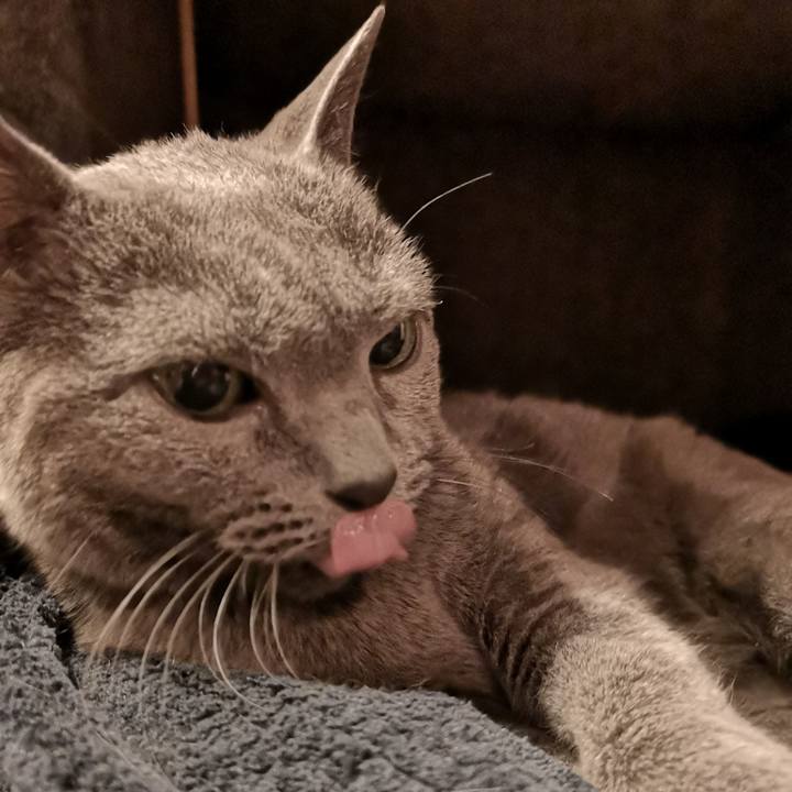 2158a13c c922 434a 9f10 2af533420de0 1573044330607