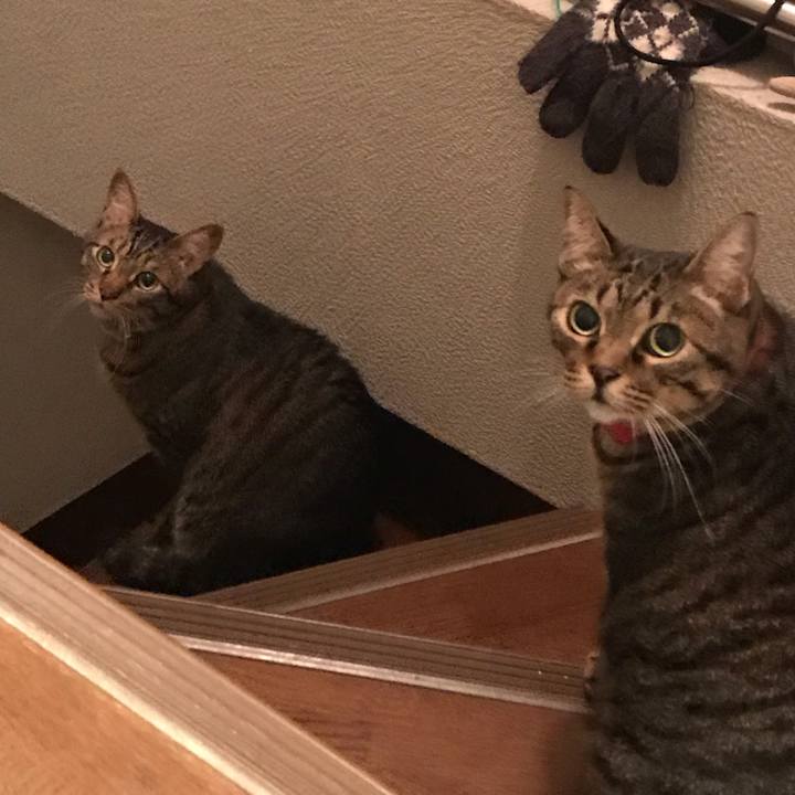 2158b5c6 b237 4aa8 b14a ca6edebb902e 1573405412934