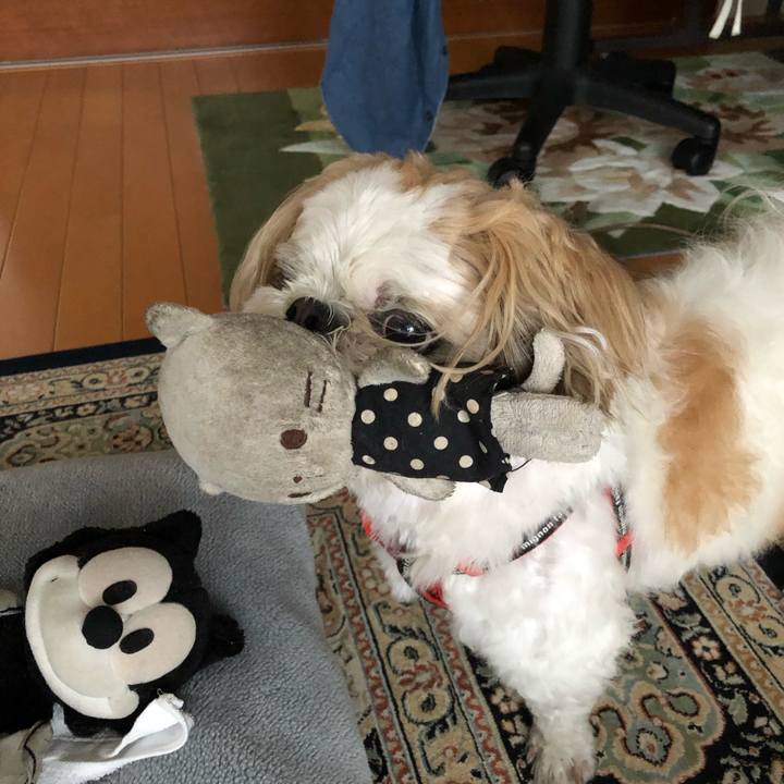 2158ced2 c180 4789 86c4 6a2e405560f5 1565579567687