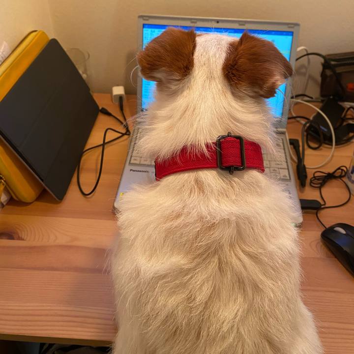 21590f3f 0762 46de bb38 40956b4a839a 1586248676812