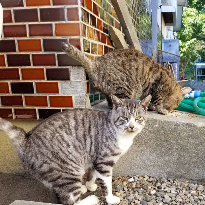 215944e9 7890 4b4d ba6e 6ced5a5fd994 1633266628312