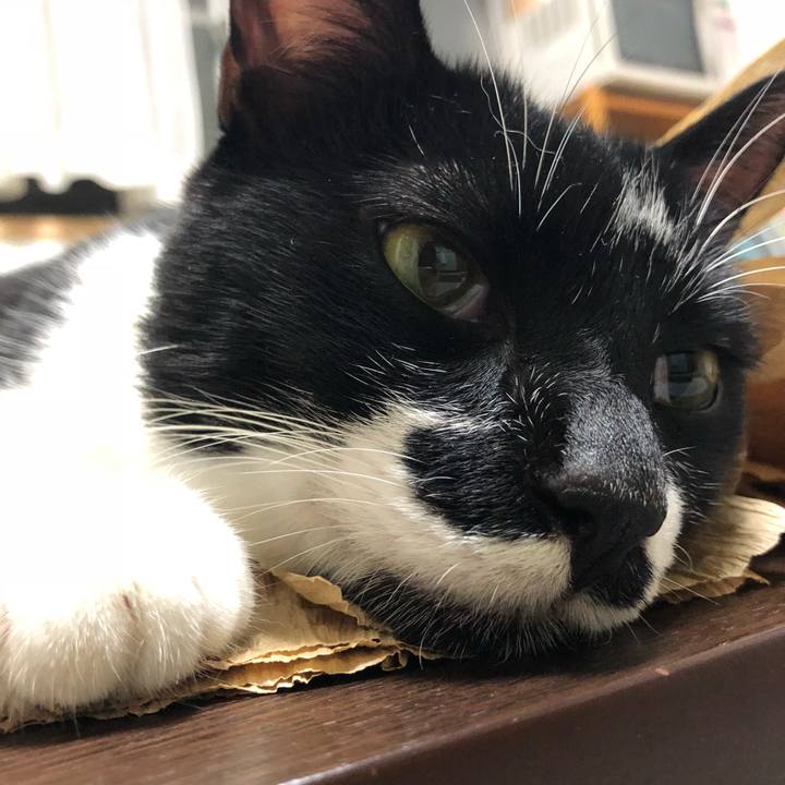 21594e07 cd2b 46a6 9e32 cf7d6be691d9 1537220263049