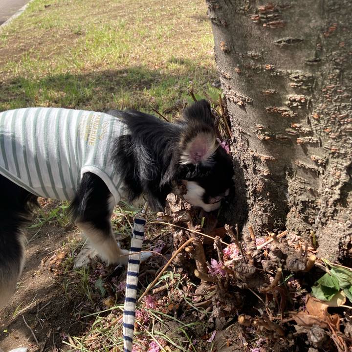 215965ce 4983 4e72 92d9 933f474b43e6 1619238042040