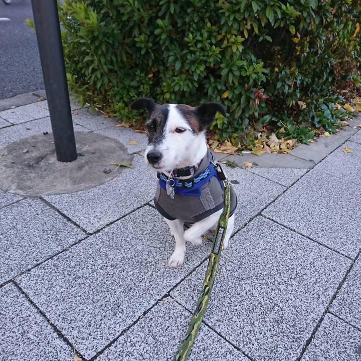 21598392 a630 4044 8b12 27dbf9e889be 1513115779898