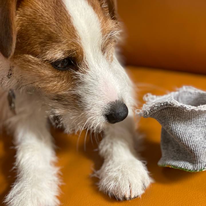 2159c4bf 9107 4b1f b6bb 1f2301436966 1644638931368