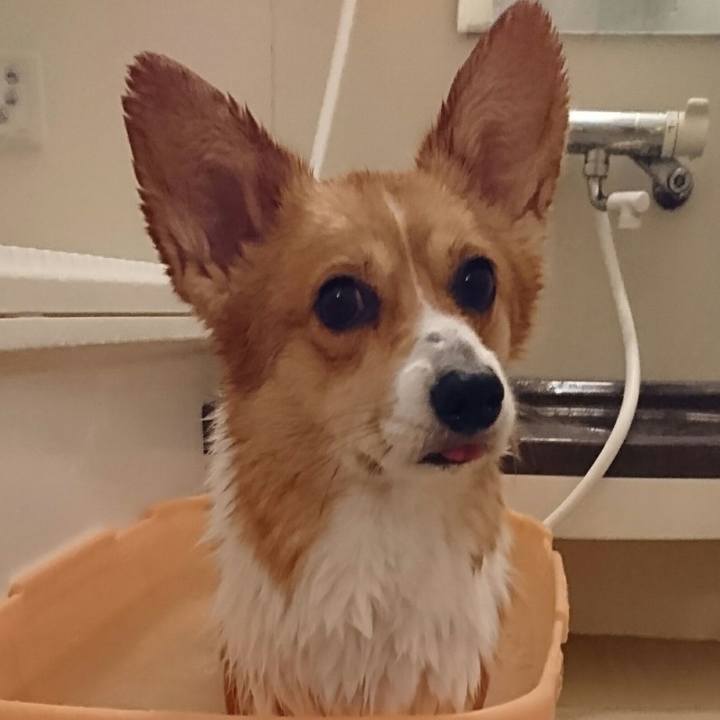 2159e955 a7ef 49f9 b86b 4d76952ed69e 1545911163389