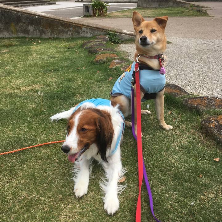 215a3301 eda8 45da 967f 8ea581342724 1556531643822