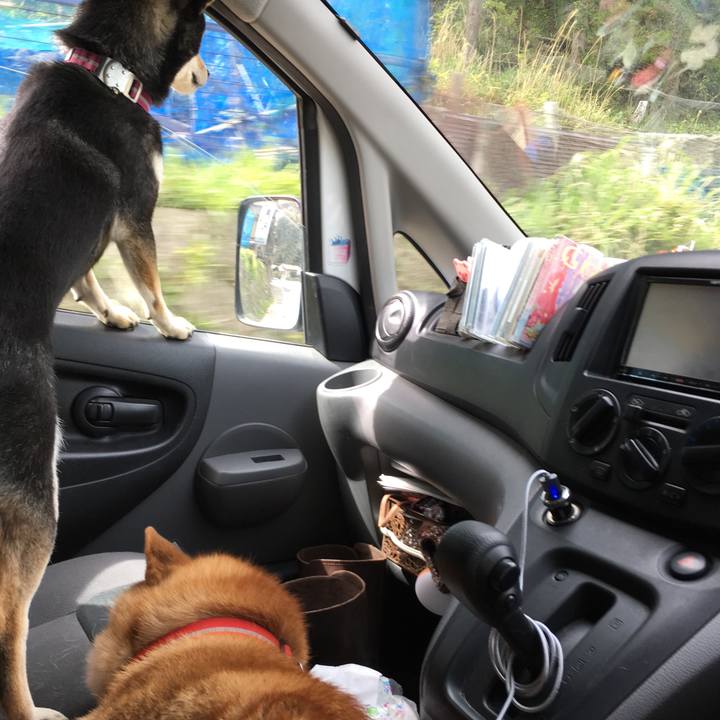 215a344d 942d 4a9a 9f16 31b87f934368 1524277042670