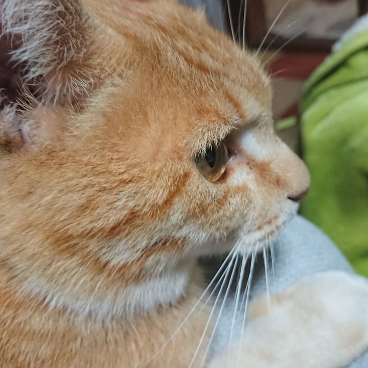 215a5f04 145c 4223 aa68 36fbd33ef062 1590749835816