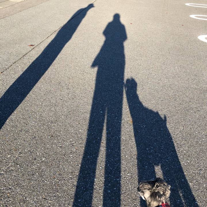 215a9c46 400e 4b0e 9e63 47aba654991b 1667689357988