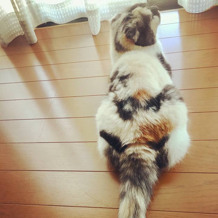 215aa14b b69d 4c2d 9586 54ca62bccd43 1535527472456