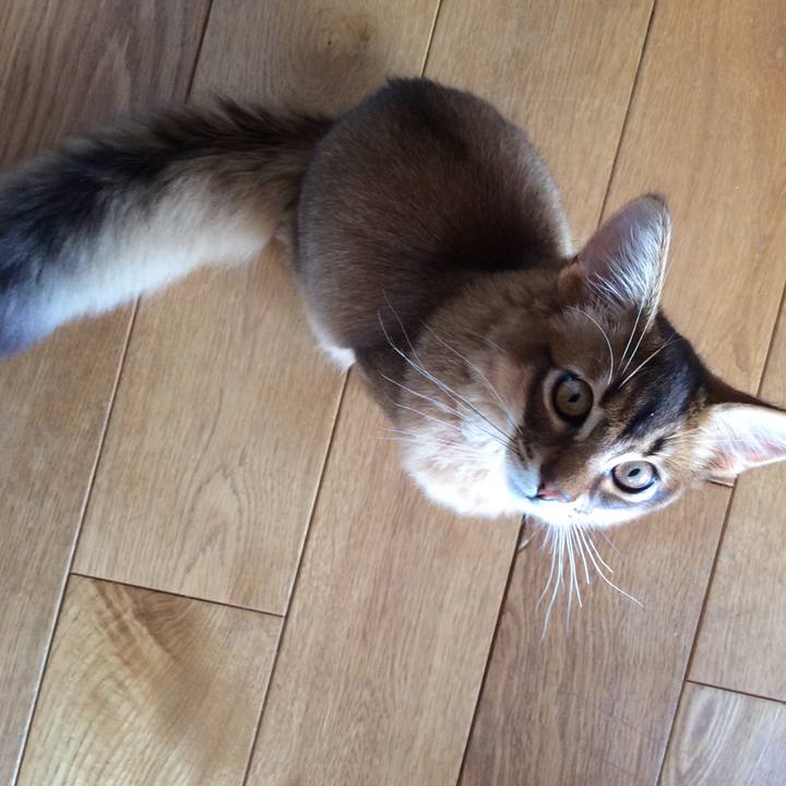 215ac95e 040f 4819 9ef1 89eae33afff4 1582270243416