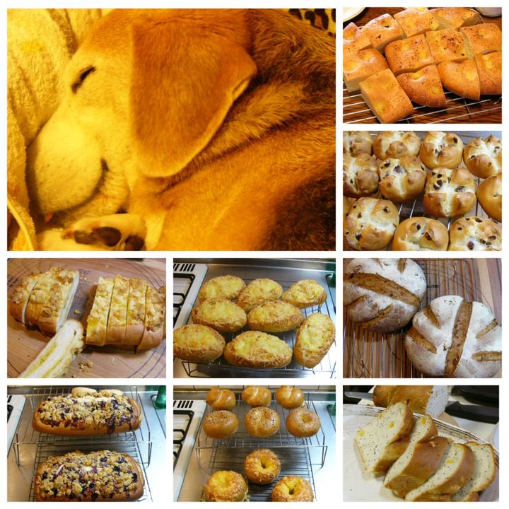 215b01c7 472e 45d0 b74d 14706aae680e 1675300488511