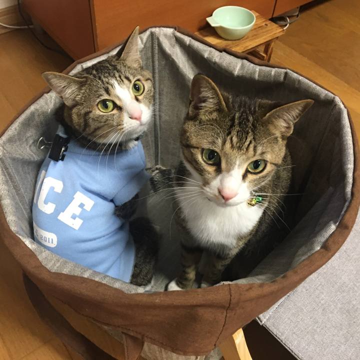 215b0212 7f30 47a8 8ace 5a53ba810f2c 1679010220593