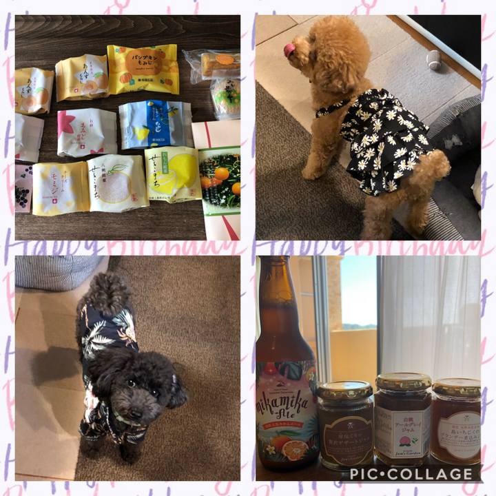 215b0773 c0fa 45c6 9a4b 162488f8feec 1600729882041