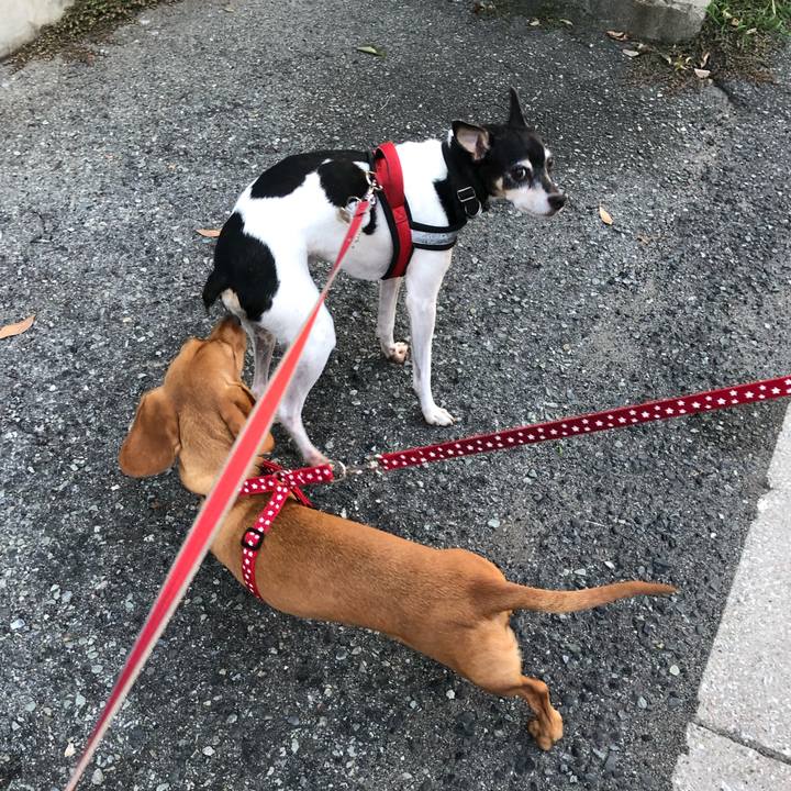 215b6905 d4a9 48a2 a402 fb13e19d2b10 1568981986966