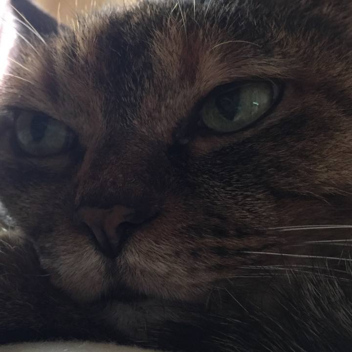 215b8ee0 5e57 4e81 b26c 9003657bb9b7 1581221325307