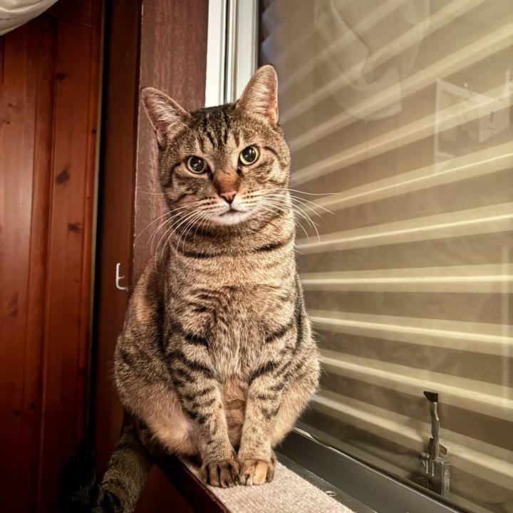 215b929a 74c6 40e1 9a96 e2fae0061681 1768299287043