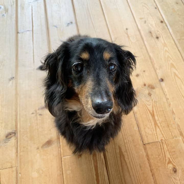 215ba428 d283 4352 b6cc 9810845ccb98 1630816444689