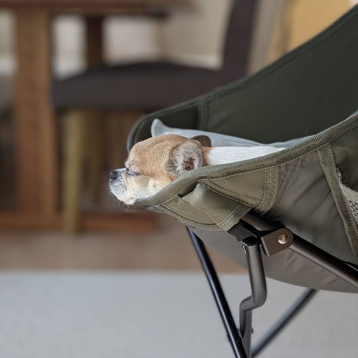 215bf0be 2725 497d 93ad bb574c05bbab 1754125928801