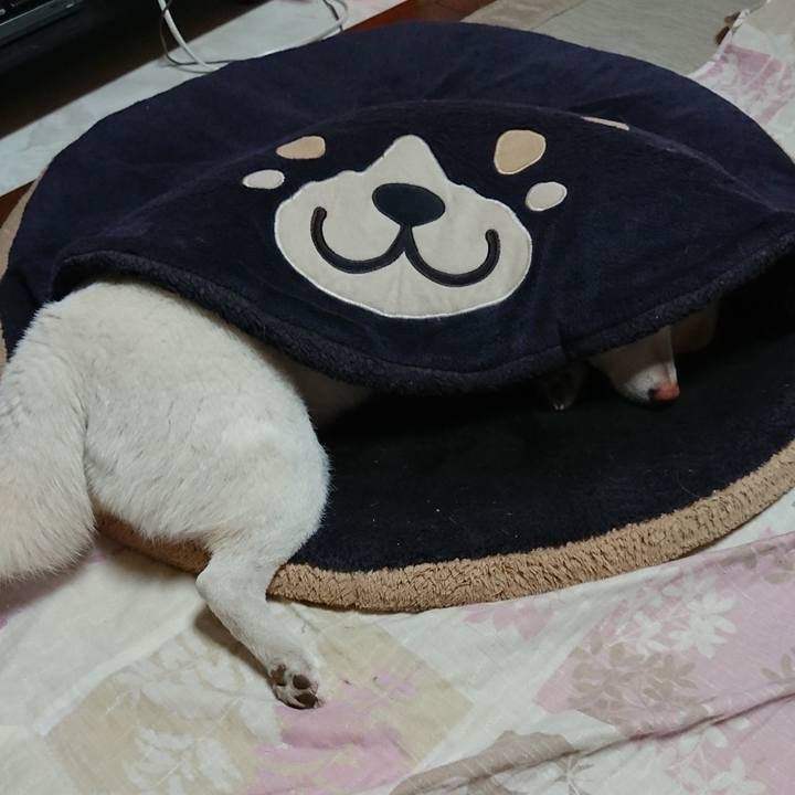 215c0a7c e1c4 4f58 af67 f75907d1d2ed 1569143075047