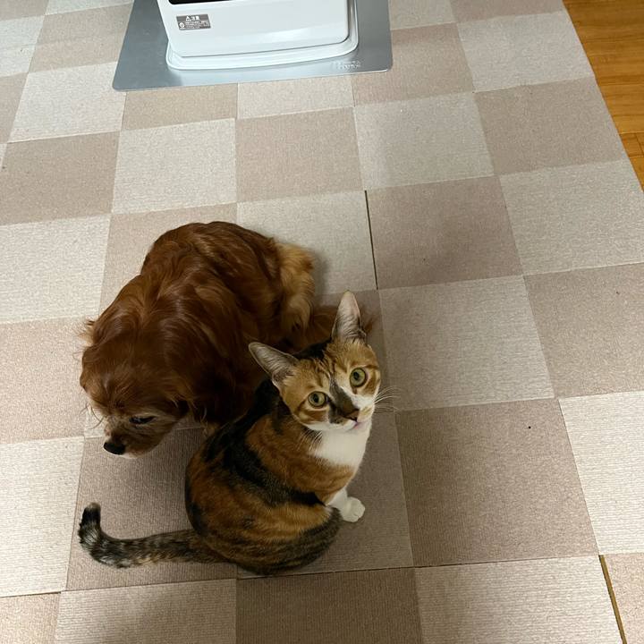 215c1a98 1eb9 4649 a1d8 0874b66d9638 1764886753581