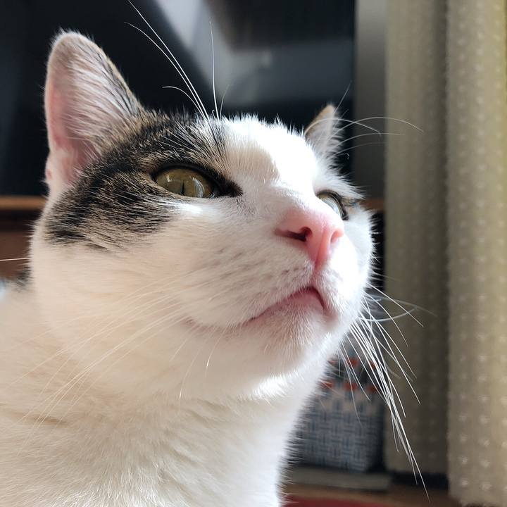 215c33bd ca98 4f32 8c46 18586463f117 1701146815270