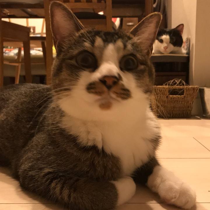 215c3de5 f906 4535 84cd 31fc2e5dbaf2 1559047227995