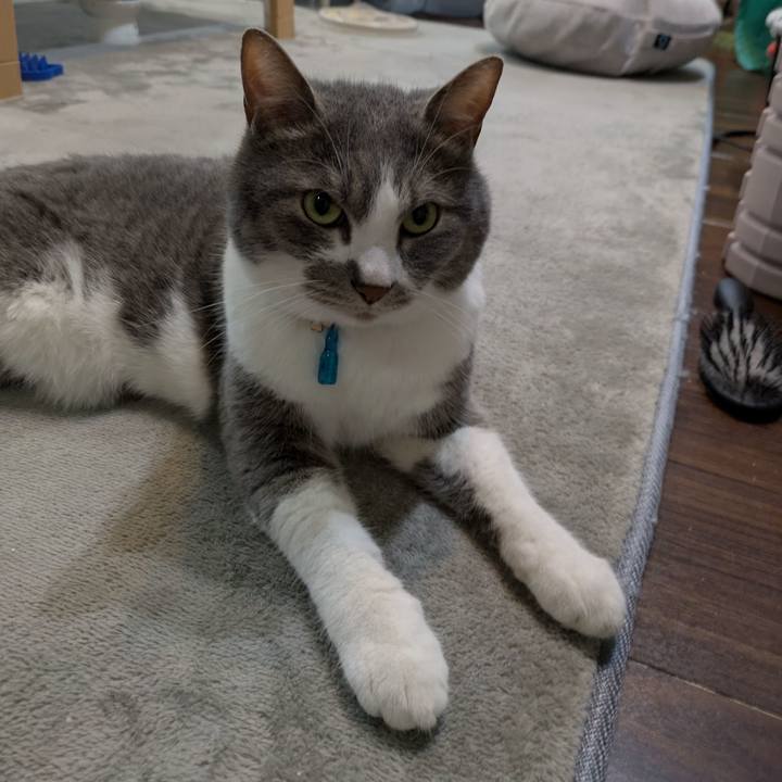 215c816c 47c3 4271 9215 807232ccda45 1747449413852