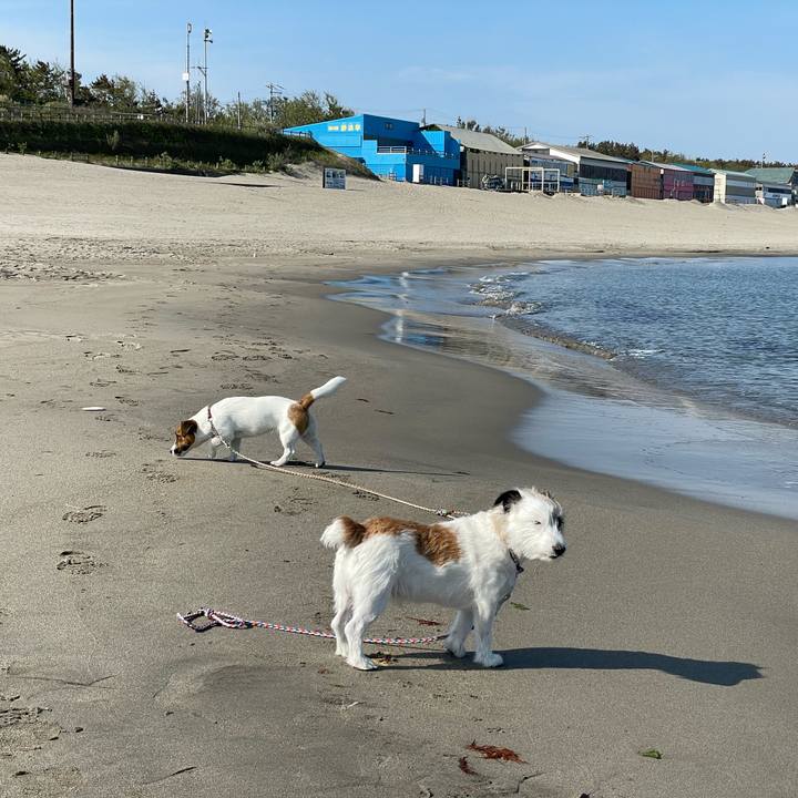 215c831e 27f0 4d7c 9592 7e4684f3f714 1652831715108