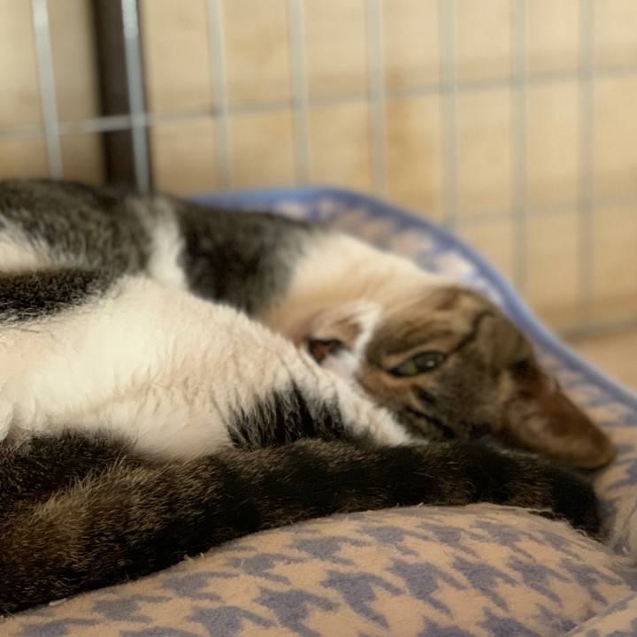 215cb4c9 7c6a 4f6f 8ea9 d5e5d3c1ffcc 1602381121585