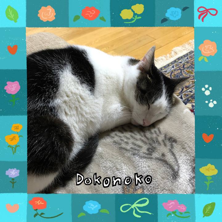 215cc557 8d9f 41dc 8211 e9ac6fe87c34 1715441493136