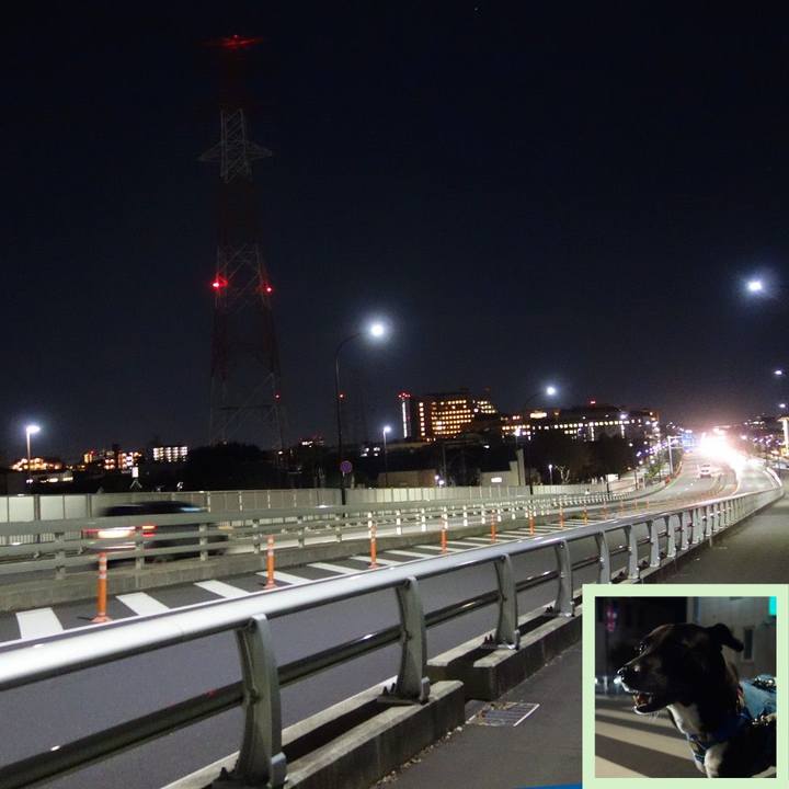 215cf338 4571 4054 a4b5 e83e269add52 1636628539322