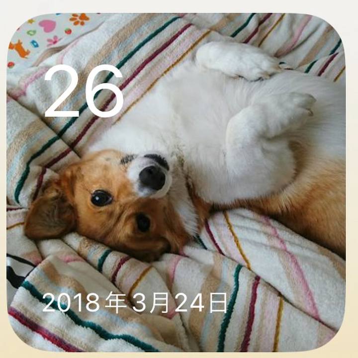 215d2312 c2d5 4331 a1e0 730ca843a716 1774487404565