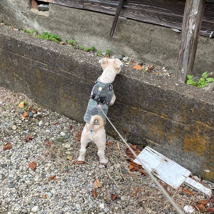 215d5518 4283 4c62 93b2 f6d4e2c9ae0e 1603337463659