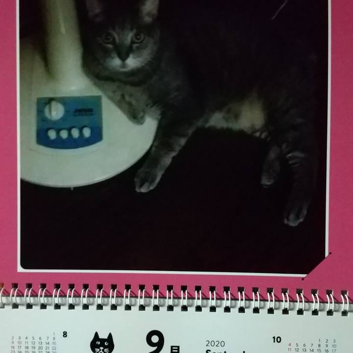 215d57aa 65f2 430a aa39 2756afeee749 1598908687397