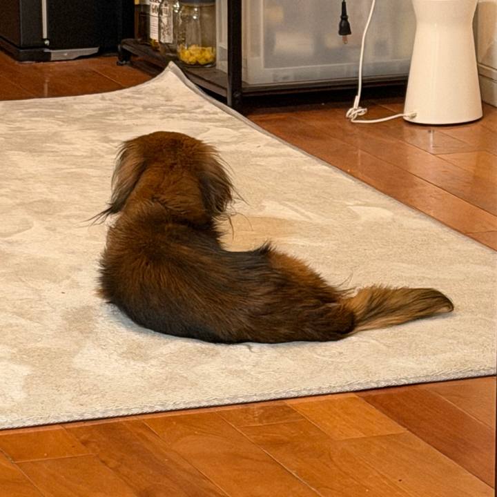 215d5ccb b228 435a 9ca6 d1d14476f6b1 1774530340968