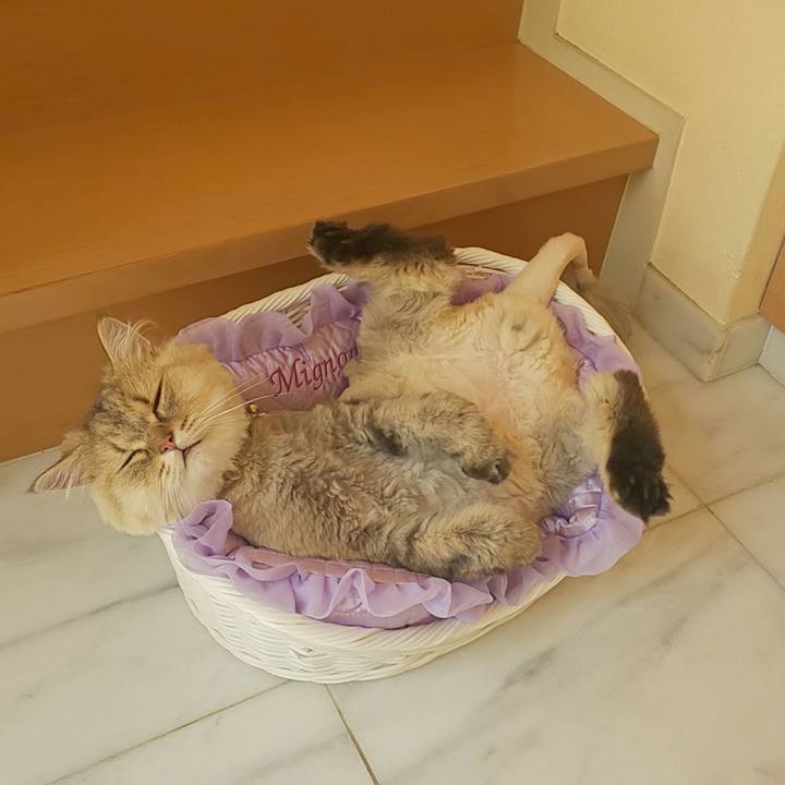 215d5f3a 968a 465c 9d37 1ae861cbe52a 1596693504960