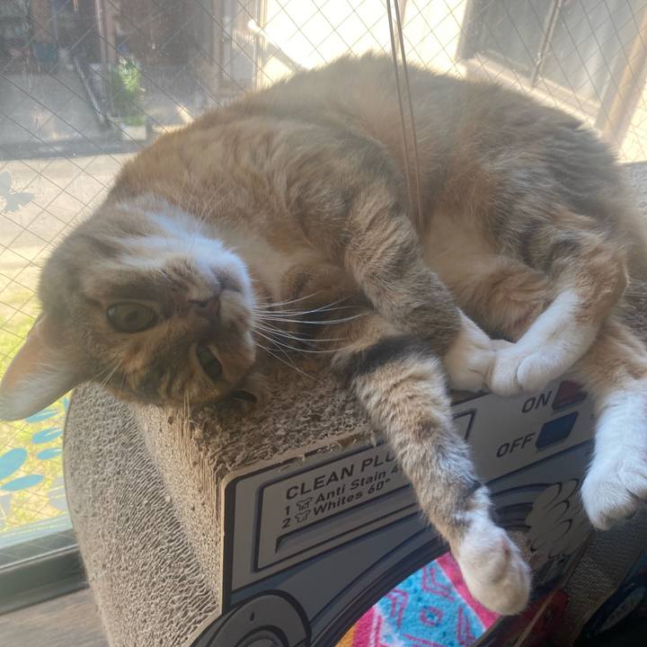 215d7faf f11e 4e39 84fb b75542b07745 1717808790669