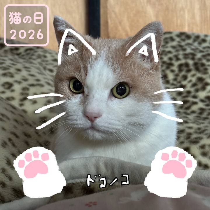 215db62b 48d0 4e93 a5f6 393cab0b689d 1771692017032